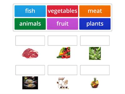 Tiger 1 - Unit 4 - Food we eat 