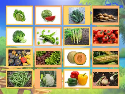 Garden Vegetables