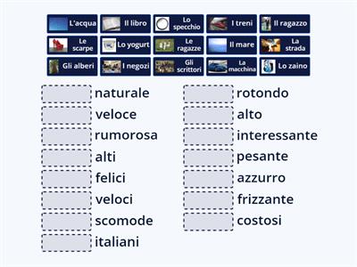 Concordanze: articoli - sostantivi - aggettivi