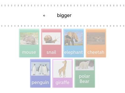 Adjectives animals listening 