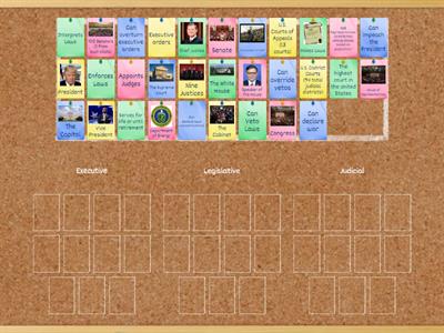 Separation of Powers (U.S. Branches of Government) 