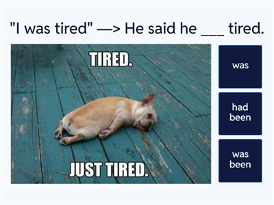 Reported Speech  Simple Past