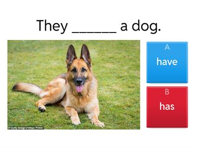 ESL Beginner 1 -- Verbs #1