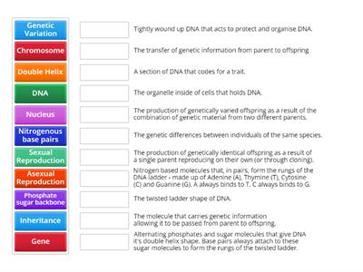 Y10 LW Inheritance Vocabulary Task 1