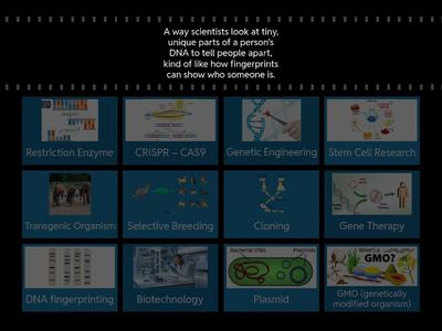 Unit 4.2: Biotechnology & Genetic Engineering