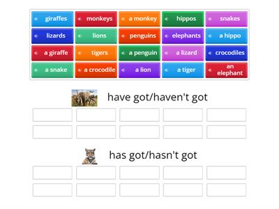 GMF2 unit 3 - has got/have got - sortowanie