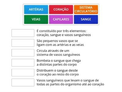  SISTEMA CIRCULATÓRIO