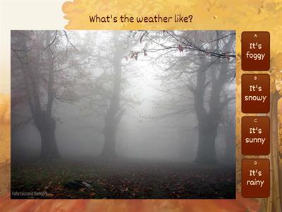 What's the weather like?