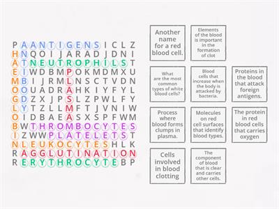 BLOOD WORSEARCH QUIZ