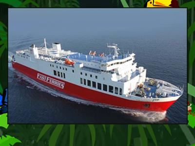 Fruit Flyer Transport