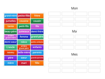 French -  Mon, ma, mes (+ family members)