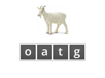 Animals Anagram