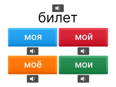 Притяжательные местоимения РКИ
