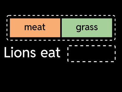 Animals and their food - Tiger 2.2.