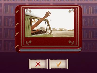 Module 6 Getting around