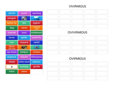 VIVIPAROUS, OVIPAROUS, OVIVIPAROUS