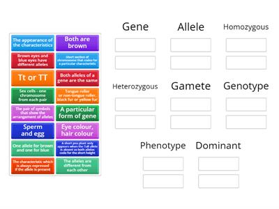 Genetics Key Words