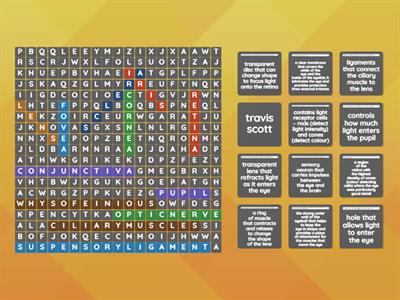 Structure of the eye