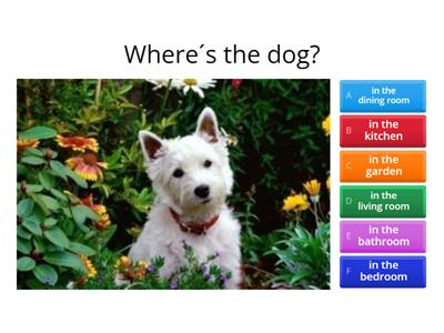 Where´s? - 3rd grade