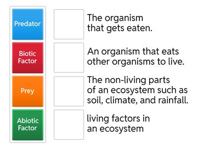 5th Grade Science - Ecosystem