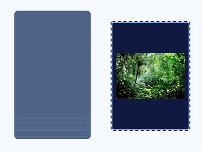 geographical features