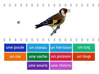 Les animaux le français en perspective