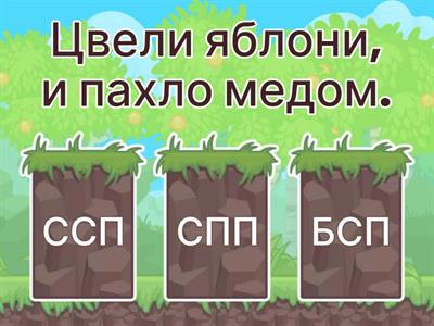 ССП, СПП, БСП: разминка