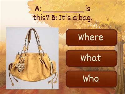 WH -question words quiz!