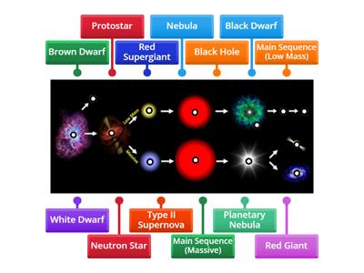 Star Life Cycle