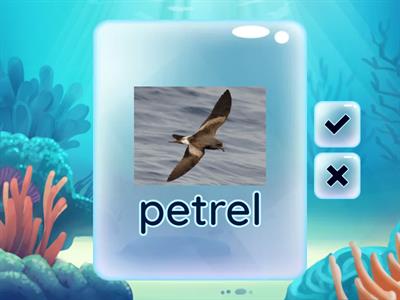 English + Science + Art