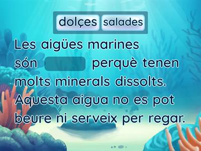 L'aigua 3r de primària