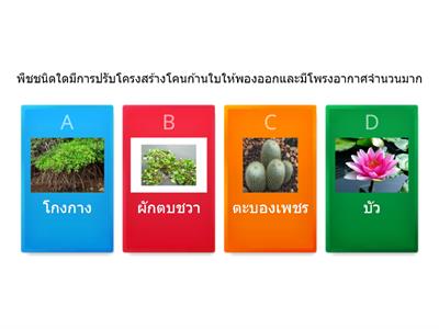 แบบทดสอบวิชาวิทยาศาสตร์ ชั้น ป.5 เรื่อง สิ่งมีชีวิตกับสิ่งแวดล้อม คำชี้แจงให้นักเรียนเลือกคำตอบที่ถูกที่สุดเพียงข้อเดียว