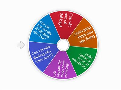 VÒNG QUAY KỲ DIỆU