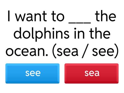 Homophones exercises 