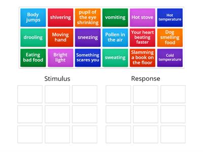 Stimulus/Response Group Sort