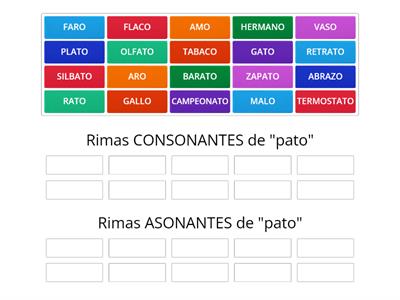 RIMAS CONSONANTES Y ASONANTES