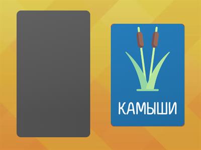 Автоматизация звука Ш в середине слова