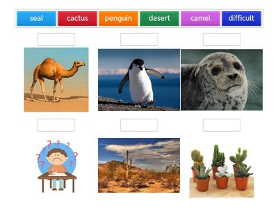 Where is hot and where is not? 4a
