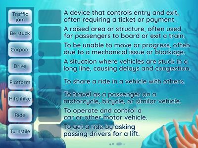 Transportation Vocabulary