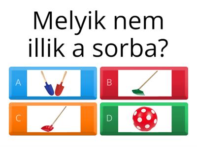 Külső világ tevékeny megismerése