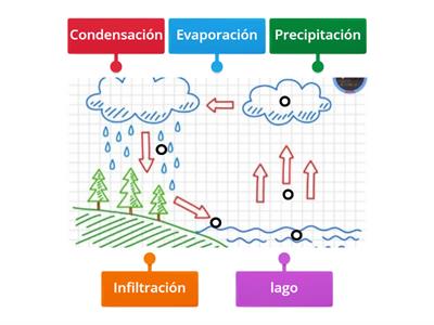 El ciclo del agua