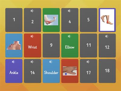 My Body Matching Pairs (Revision)