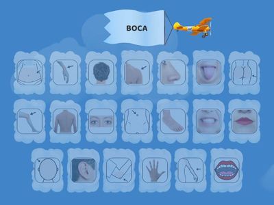 el cuerpo humano lectura global