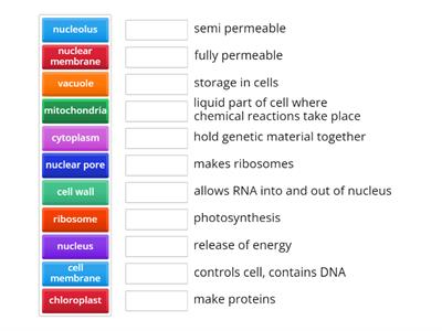 LC Biology - Functions of cell parts