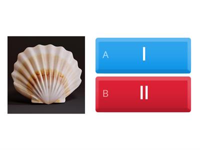 FLoSS Rule Quiz