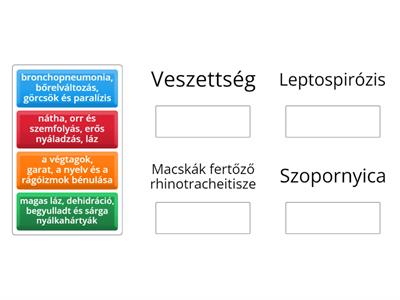 25.h Milyen tűnetekkel jár