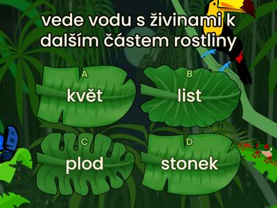 Části rostlin a jejich funkce - kvíz