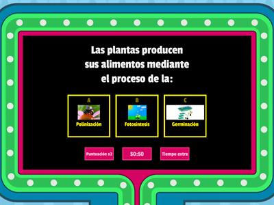 FUNCION EN LAS PLANTAS: ABSORCIÓN, RESPIRACIÓN Y CIRCULACIÓN