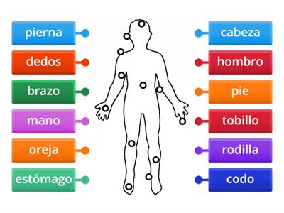 Label the body diagram