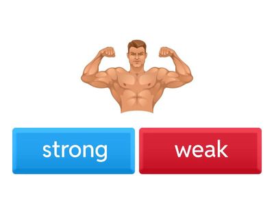 comparision -short adjective